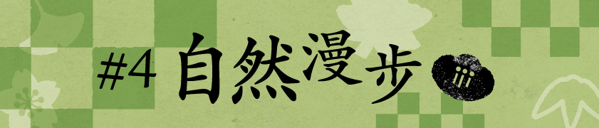 #4 自然漫步