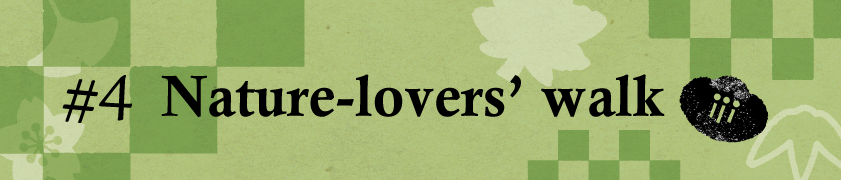 #4 Nature-lovers’ walk