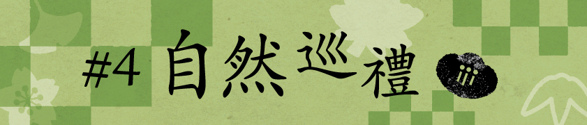 #4 自然巡禮